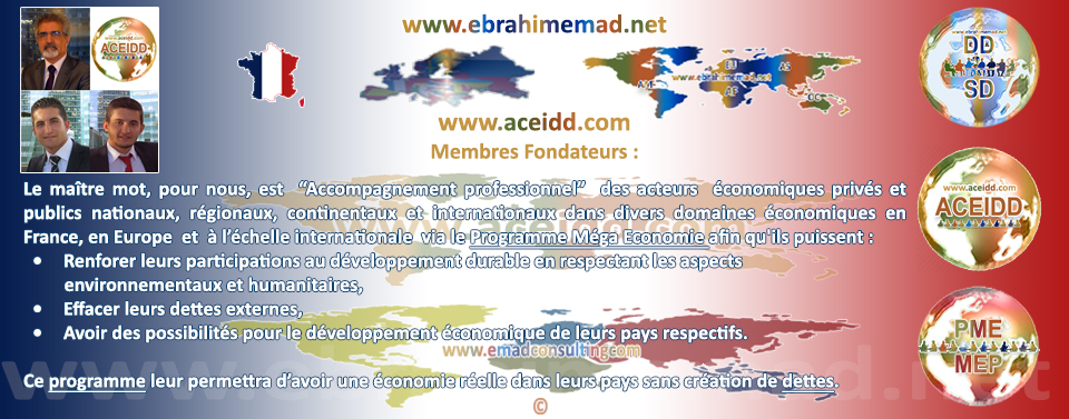 E.EMAD, EMAD Consulting et ACEIDD