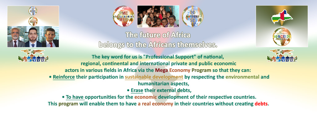 E. EMAD EMAD Consulting, ACEIDD, ACCEIDD and the Central African Republic