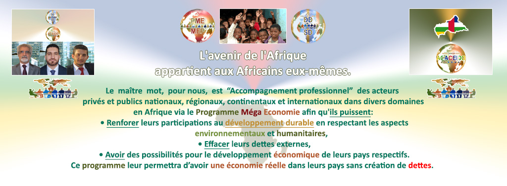 E. EMAD EMAD Consulting, ACEIDD, ACCEIDD et la R. Centrafricaine
