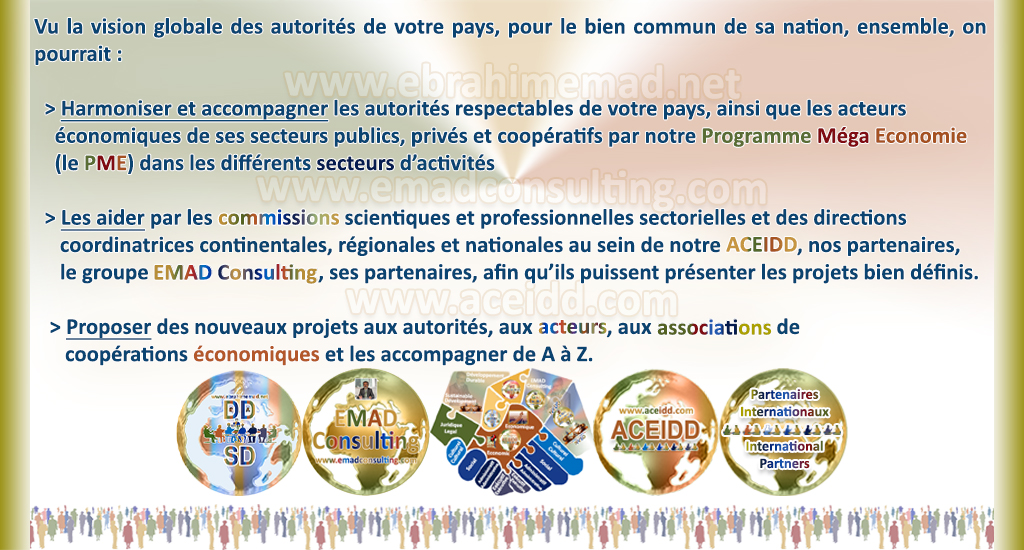 E. EMAD, EMAD Consulting, ACEIDD, nos partenairs internationaux et la NVDD, notre programme en Amerique vers l'Espace Economique Americain 