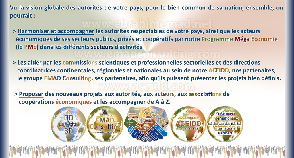 E. EMAD, EMAD Consulting, ACEIDD, nos partenairs internationaux et la NVDD, notre programme en Oceanie vers l'Espace Economique Oceanian 
