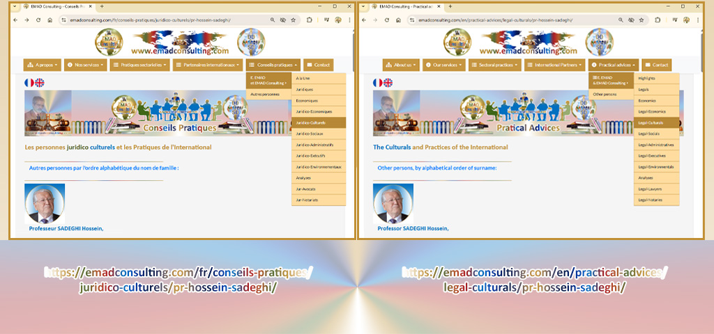 E. EMAD, EMAD Consulting, Naakojaa, Professeur Hossein SADEGHI