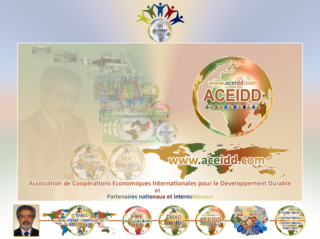 E. EMAD, EMAD Consulting, ACEIDD et le Programme Méga Economie