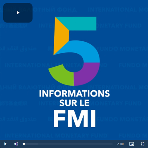 E.EMAD, Informations sur le FMI