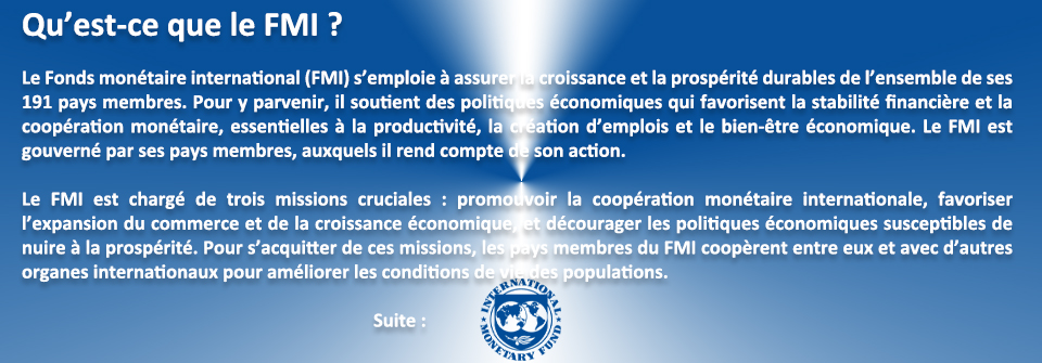 E. EMAD Qu'est ce que le FMI ? 