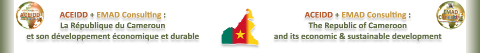  Cameroun