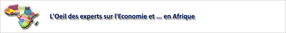 >> Informations conomiques en Afriques 