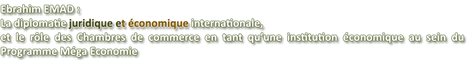 >> La DJEI et les ngociations conomiques professionnelles internationales