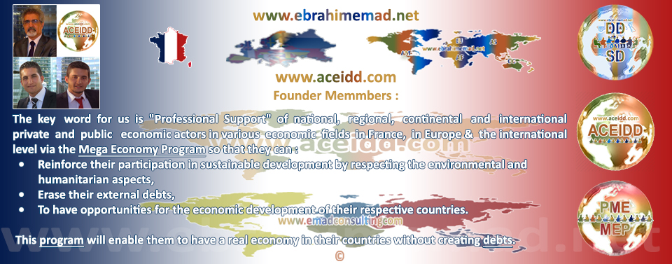E.EMAD, EMAD Consulting et ACEIDD