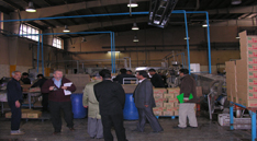 OER - Visite de Razavi Food Products Company 2